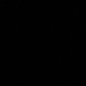 Meet your Posher, Gianna